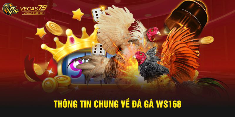 đá gà ws168